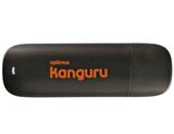 Pen Huawei E173s - Optimus Kanguru